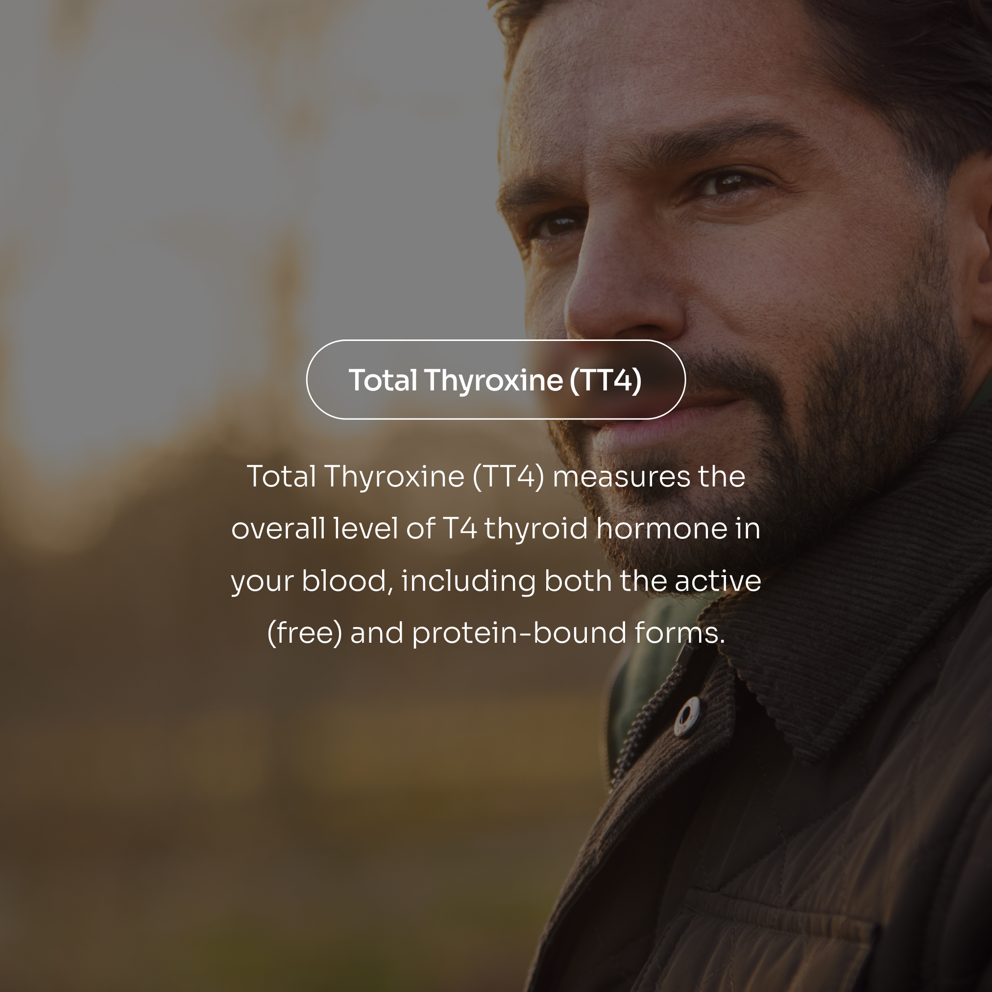total T4, thyroid health, thyroid antibodies, blood test