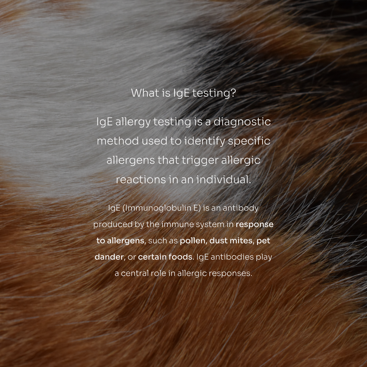 Alex 3.0, pet allergies, environmental allergies