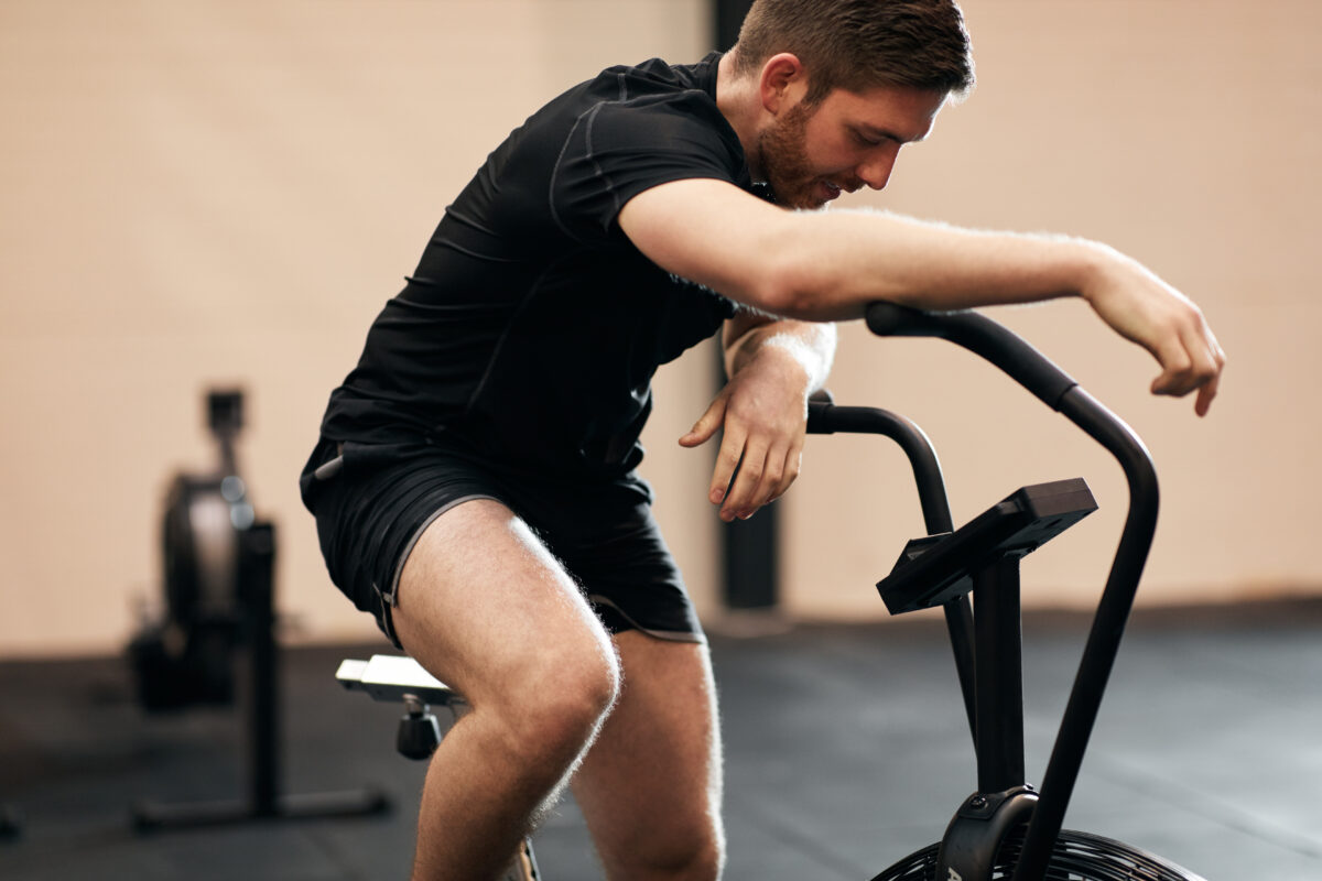 training recovery muscle repair and performance